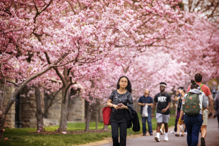 Students on campus in Spring