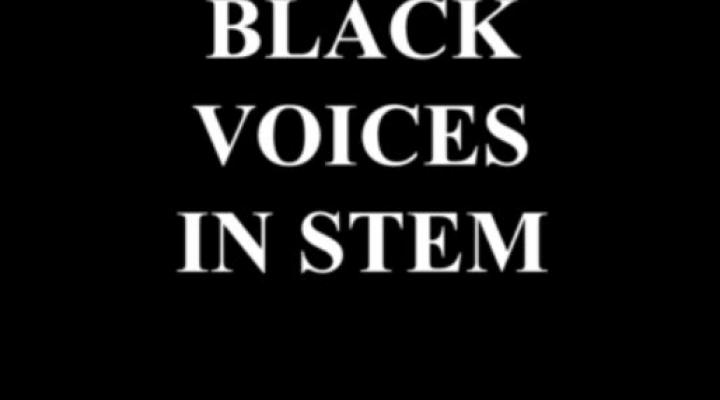 Black Voices